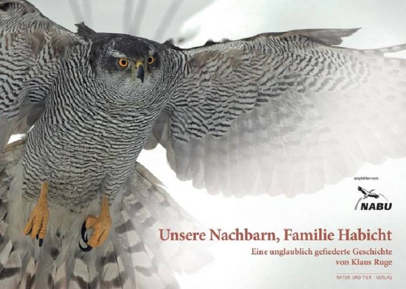 Unsere Nachbarn, Familie Habicht – Eine unglaublich gefiederte Geschichte